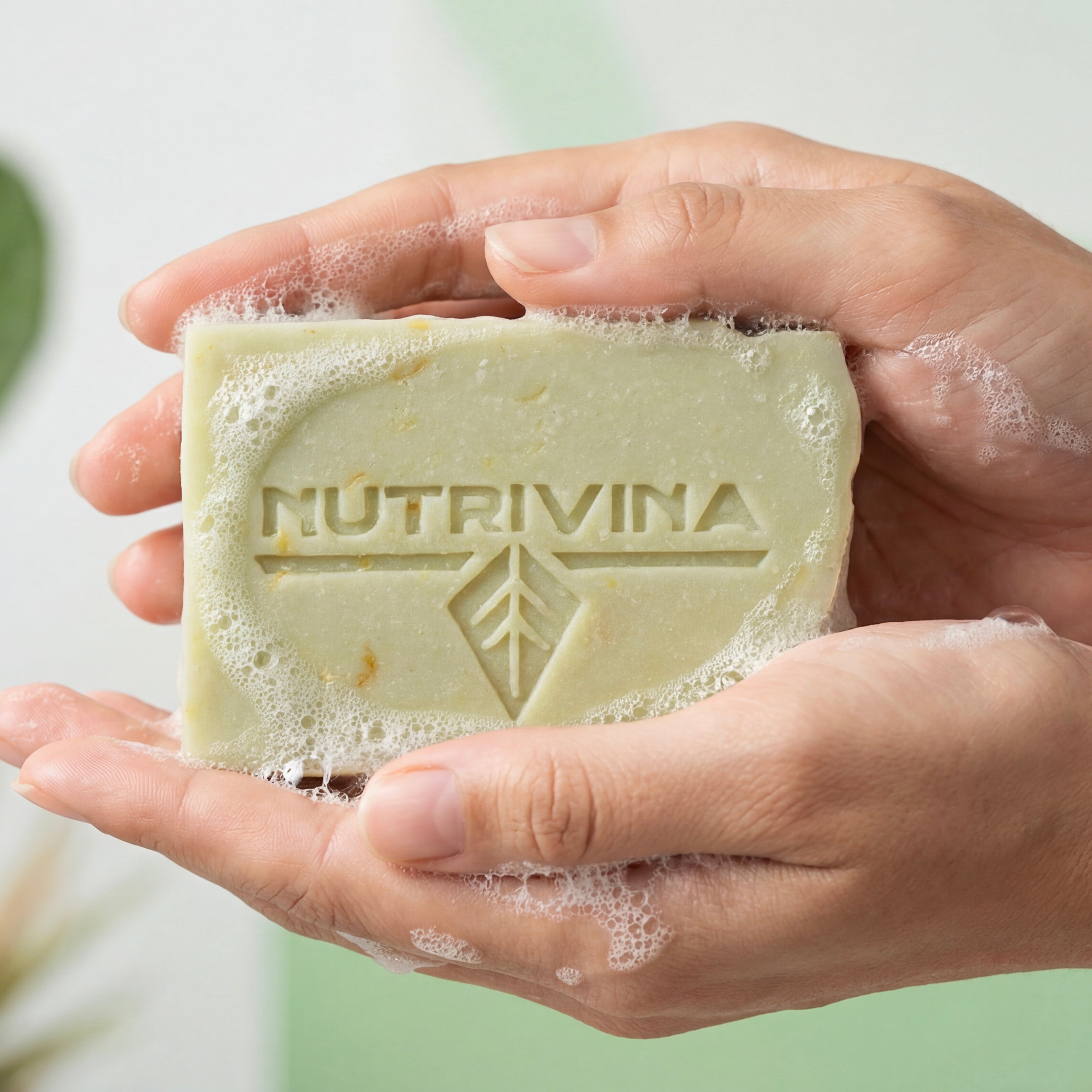 Cactus & Kojic Acid Facial Bar Soap - Brightening & Dark Spot Treatment